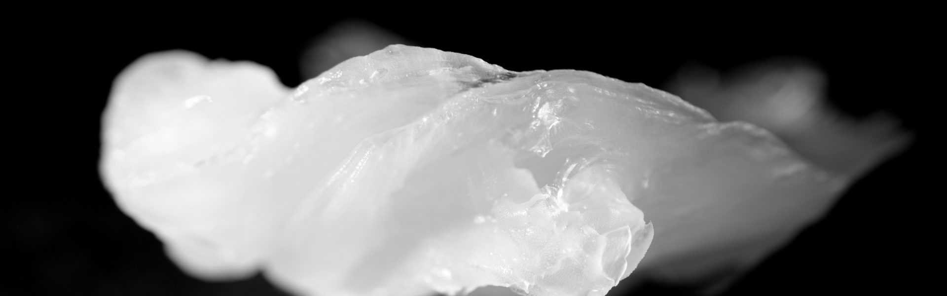 What is petroleum jelly